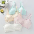 💕😍ชุดชั้นในเด็กผู้หญิงบราฟองน้ำผ้านิ่มใส่สบาย 8-12 ขวบ NO.257