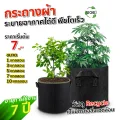 SGE กระถางผ้า กระถางผ้าปลูกต้นไม้ ถุงปลูกต้นไม้ กระถางต้นไม้ GB Gallon ของแท้จาก