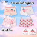 Patt mom กางเกงในเด็กผู้หญิง เซ็ต 4 ชิ้น ระบายอากาศได้ดี เหมาะสำหรับเด็กวัย 3-14